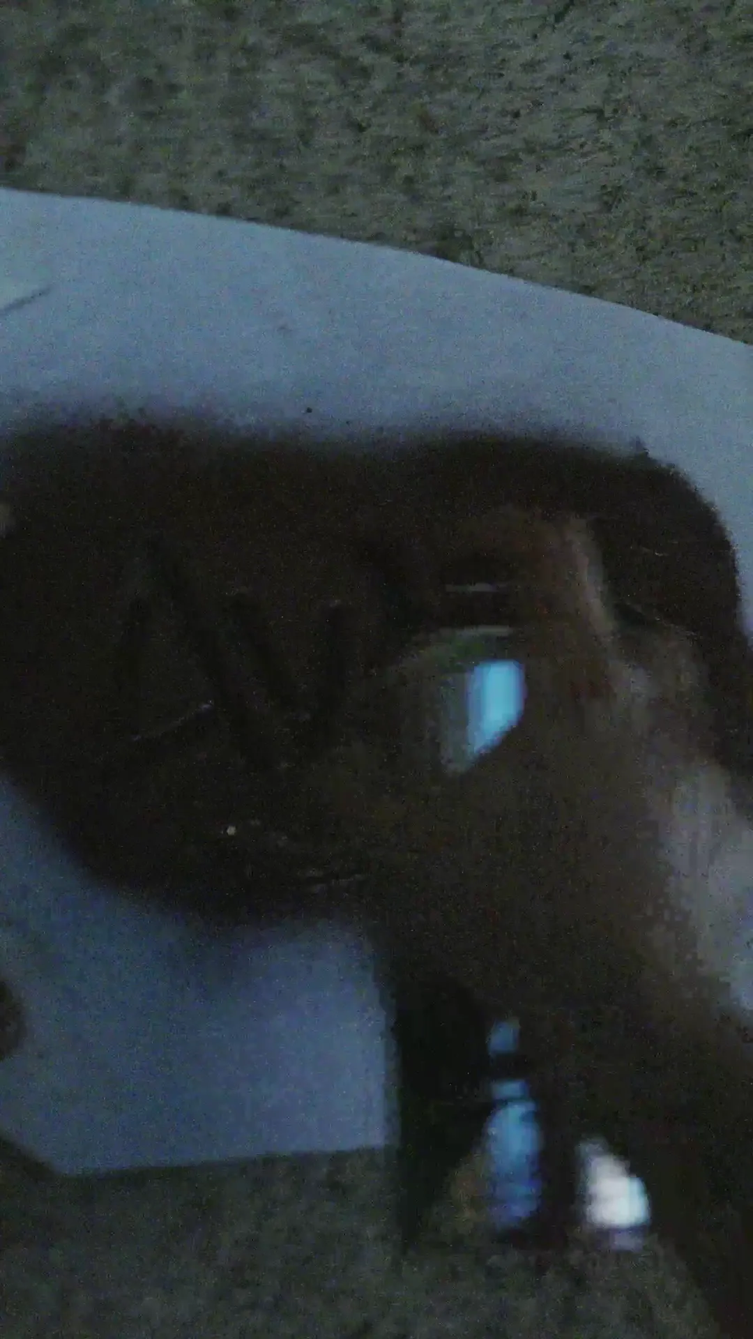 AVANTI — clip 1